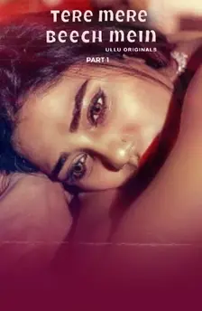 tere mere beech mein ullu